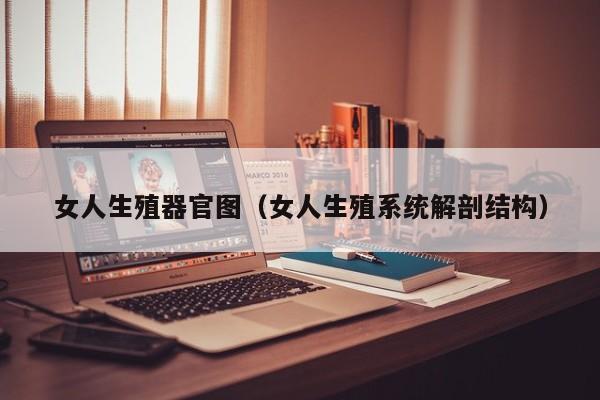 女人生殖器官图(女人生殖系统解剖结构)