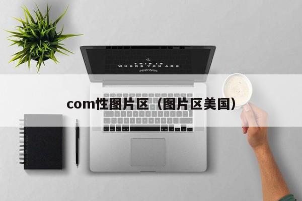 com性图片区(图片区美国)