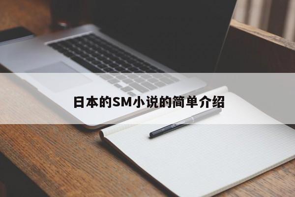 日本的SM小说的简单介绍