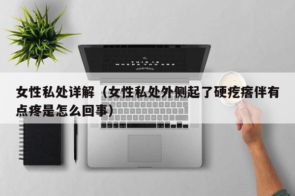 女性私处详解(女性私处外侧起了硬疙瘩伴有点疼是怎么回事)
