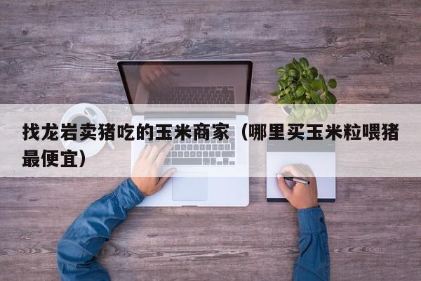 找龙岩卖猪吃的玉米商家(哪里买玉米粒喂猪最便宜)