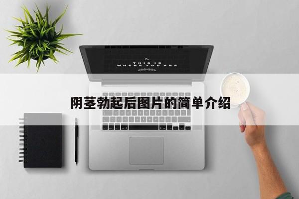 阴茎勃起后图片的简单介绍