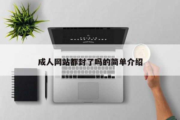 成人网站都封了吗的简单介绍