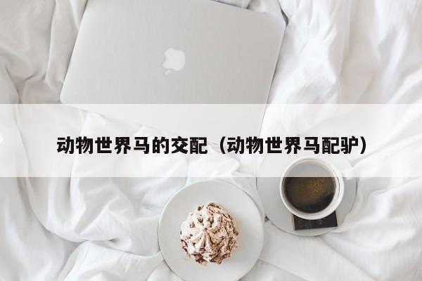 动物世界马的交配(动物世界马配驴)