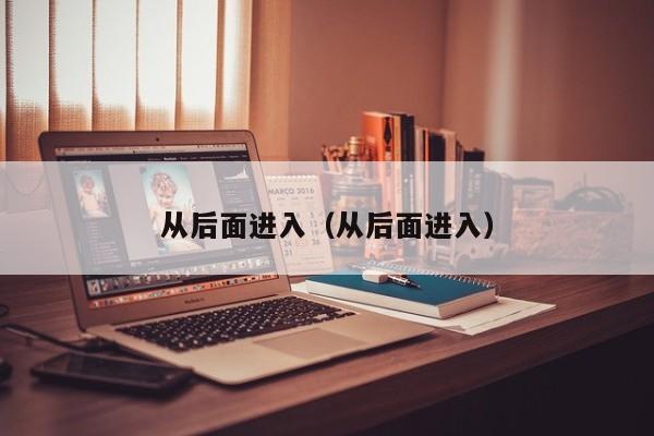 从后面进入(从后面进入)