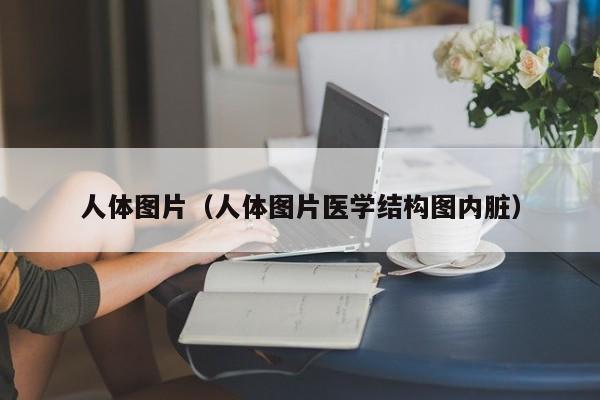 人体图片(人体图片医学结构图内脏)