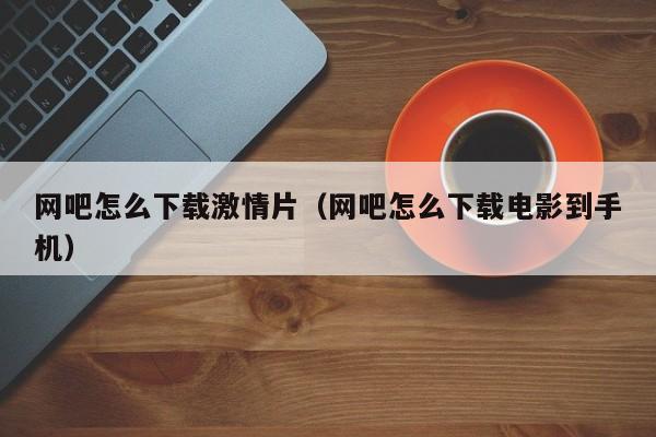 网吧怎么下载激情片(网吧怎么下载电影到手机)