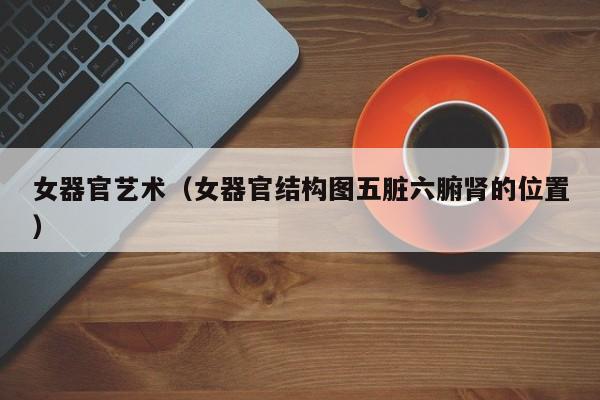 女器官艺术(女器官结构图五脏六腑肾的位置)