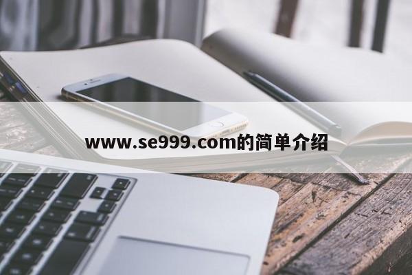 www.se999.com的简单介绍