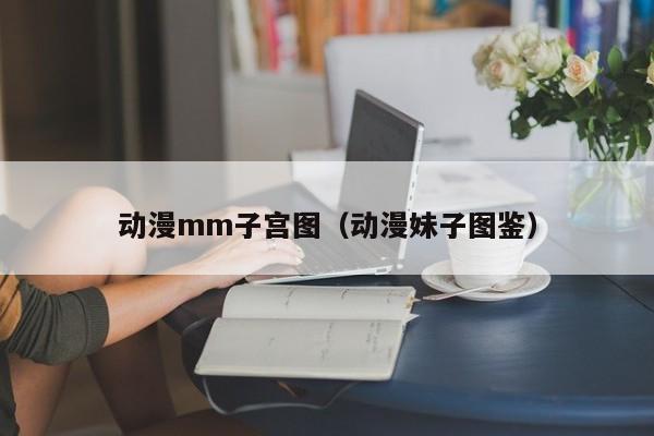 动漫mm子宫图(动漫妹子图鉴)