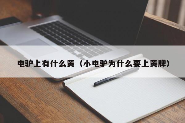 电驴上有什么黄(小电驴为什么要上黄牌)