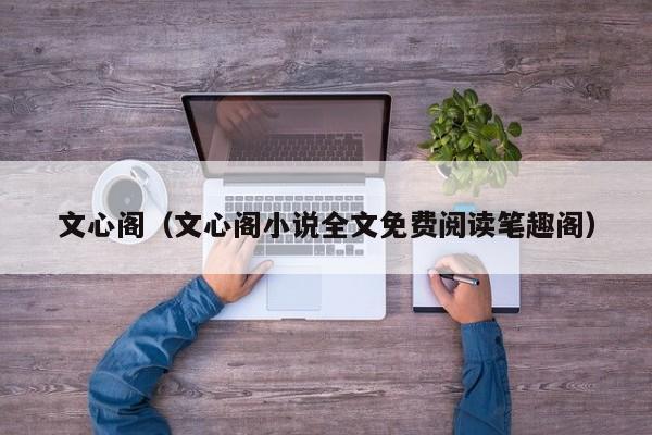 文心阁(文心阁小说全文免费阅读笔趣阁)