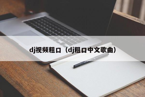 dj视频粗口(dj粗口中文歌曲)
