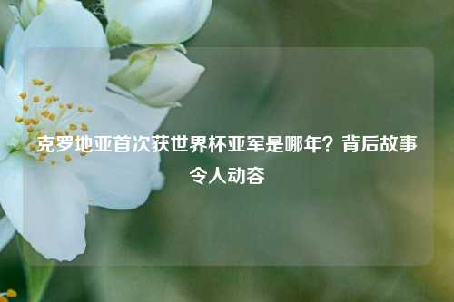 克罗地亚首次获世界杯亚军是哪年？背后故事令人动容