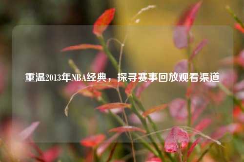 重温2013年NBA经典，探寻赛事回放观看渠道