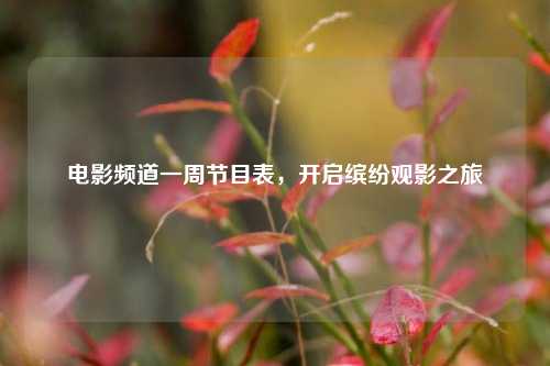 电影频道一周节目表，开启缤纷观影之旅