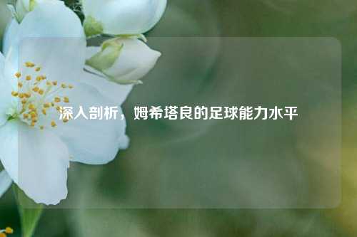 深入剖析，姆希塔良的足球能力水平