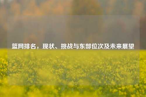 篮网排名，现状、挑战与东部位次及未来展望