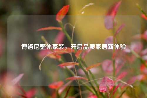 博洛尼整体家装，开启品质家居新体验