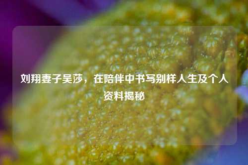 刘翔妻子吴莎，在陪伴中书写别样人生及个人资料揭秘