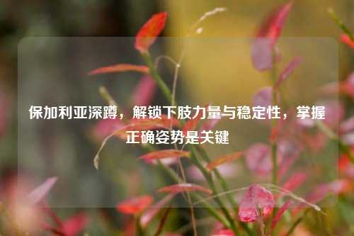 保加利亚深蹲，解锁下肢力量与稳定性，掌握正确姿势是关键