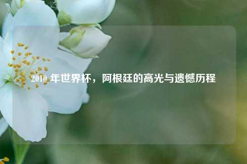 2010 年世界杯，阿根廷的高光与遗憾历程