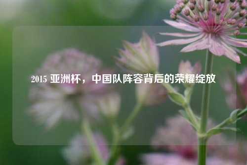 2015 亚洲杯，中国队阵容背后的荣耀绽放