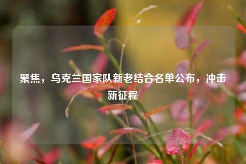 聚焦，乌克兰国家队新老结合名单公布，冲击新征程