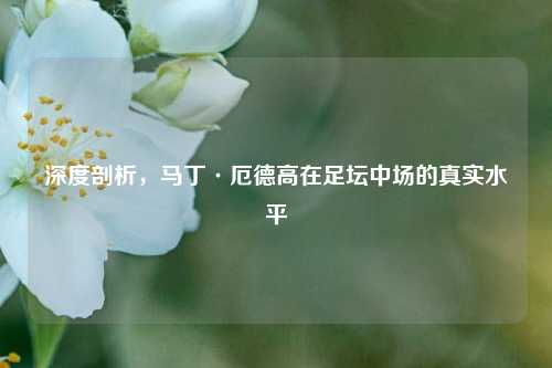 深度剖析，马丁·厄德高在足坛中场的真实水平