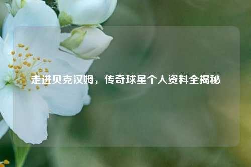走进贝克汉姆，传奇球星个人资料全揭秘