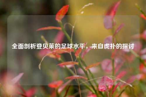 全面剖析登贝莱的足球水平，来自虎扑的探讨