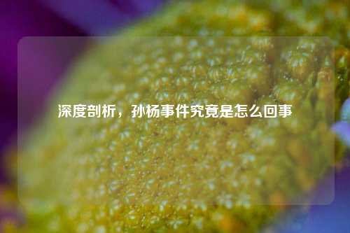 深度剖析，孙杨事件究竟是怎么回事