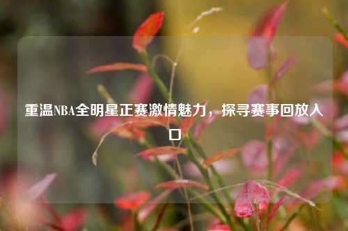 重温NBA全明星正赛     魅力，探寻赛事回放入口