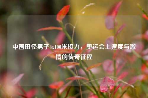 中国田径男子4x100米接力，奥运会上速度与激情的传奇征程