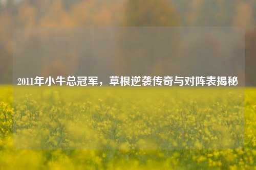 2011年小牛总冠军，草根逆袭传奇与对阵表揭秘
