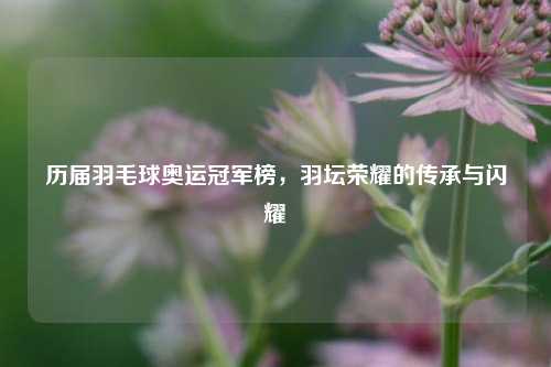 历届羽毛球奥运冠军榜，羽坛荣耀的传承与闪耀