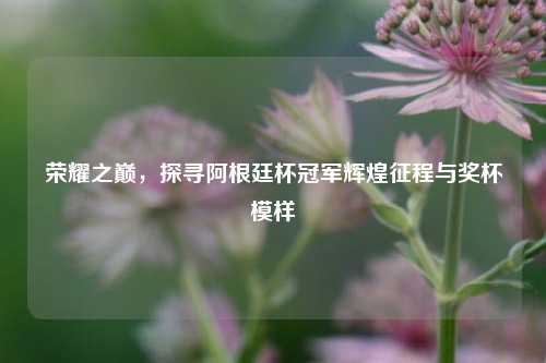 荣耀之巅，探寻阿根廷杯冠军辉煌征程与奖杯模样
