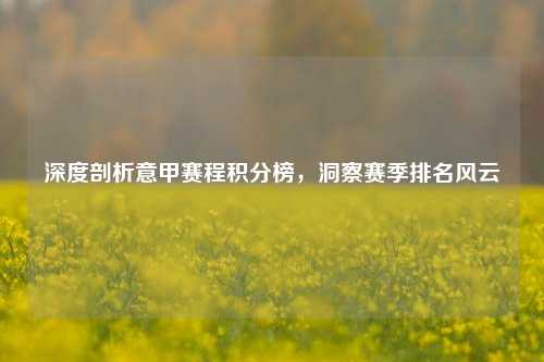 深度剖析意甲赛程积分榜，洞察赛季排名风云