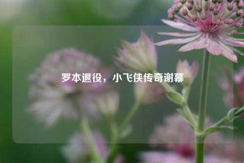 罗本退役，小飞侠传奇谢幕