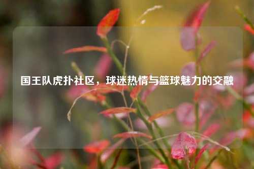 国王队虎扑社区，球迷热情与篮球魅力的交融