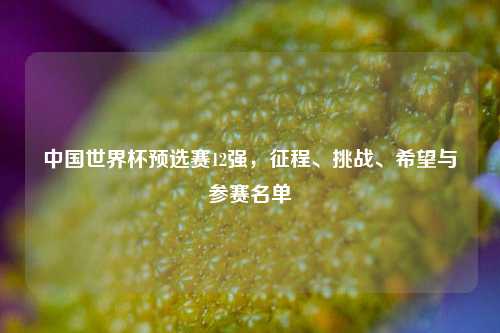 中国世界杯预选赛12强，征程、挑战、希望与参赛名单