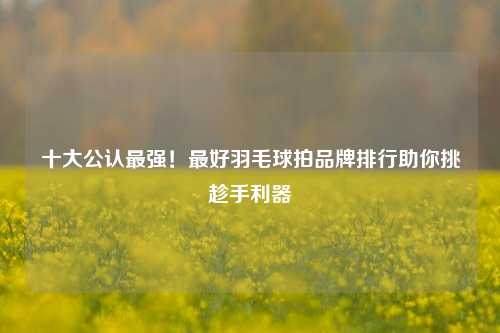 十大公认最强！最好羽毛球拍品牌排行助你挑趁手利器