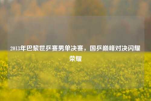2013年巴黎世乒赛男单决赛，国乒巅峰对决闪耀荣耀