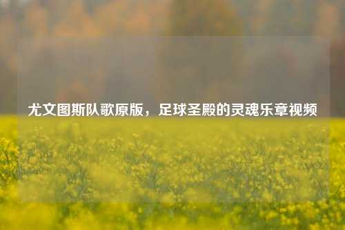 尤文图斯队歌原版，足球圣殿的灵魂乐章视频