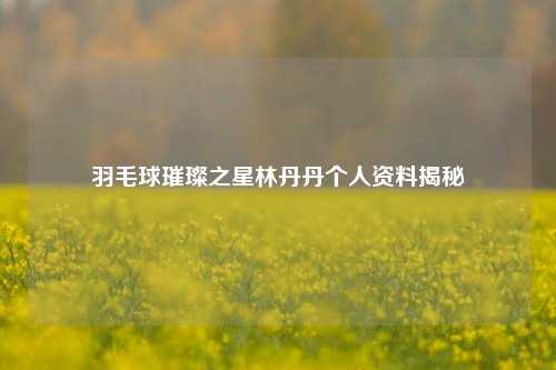 羽毛球璀璨之星林丹丹个人资料揭秘