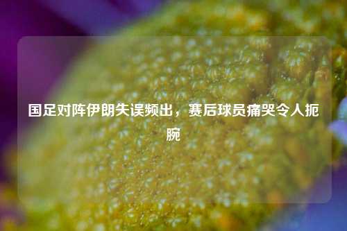 国足对阵伊朗失误频出，赛后球员痛哭令人扼腕
