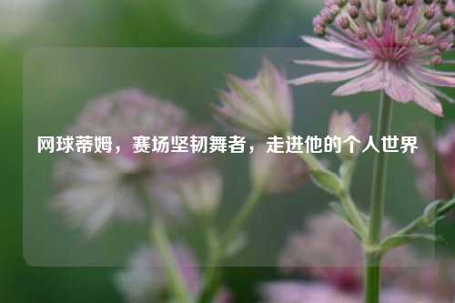 网球蒂姆，赛场坚韧舞者，走进他的个人世界