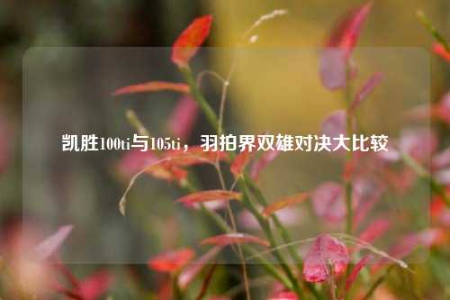 凯胜100ti与105ti，羽拍界双雄对决大比较